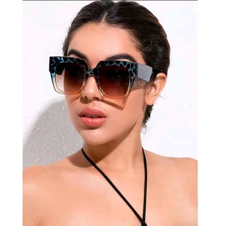 Acrylic Frame Tinted Lens Sunglasses
