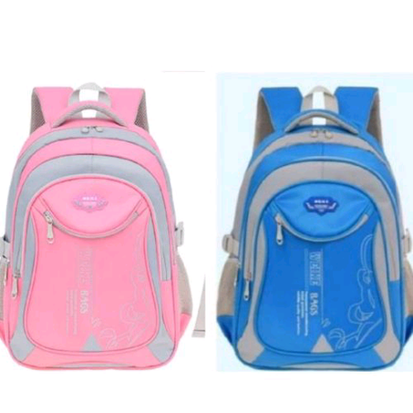 2IN1 Quality School/Laptop Backpack