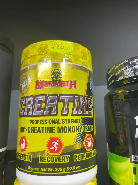 Mamoth Creatine Monohydrate