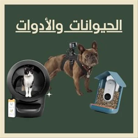 الحيوانات والأدوات