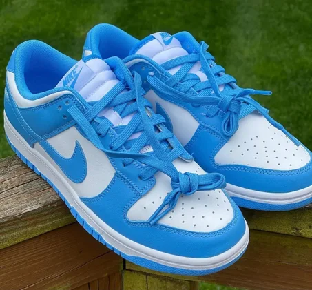 Nike Dunk Low UNC