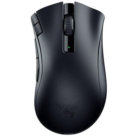 souris 5