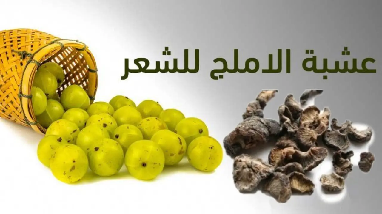 منتج الأملج الطبيعي للعناية بالشعر 🌿