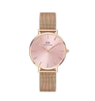 DW Gold Pink Watch ( Test )
