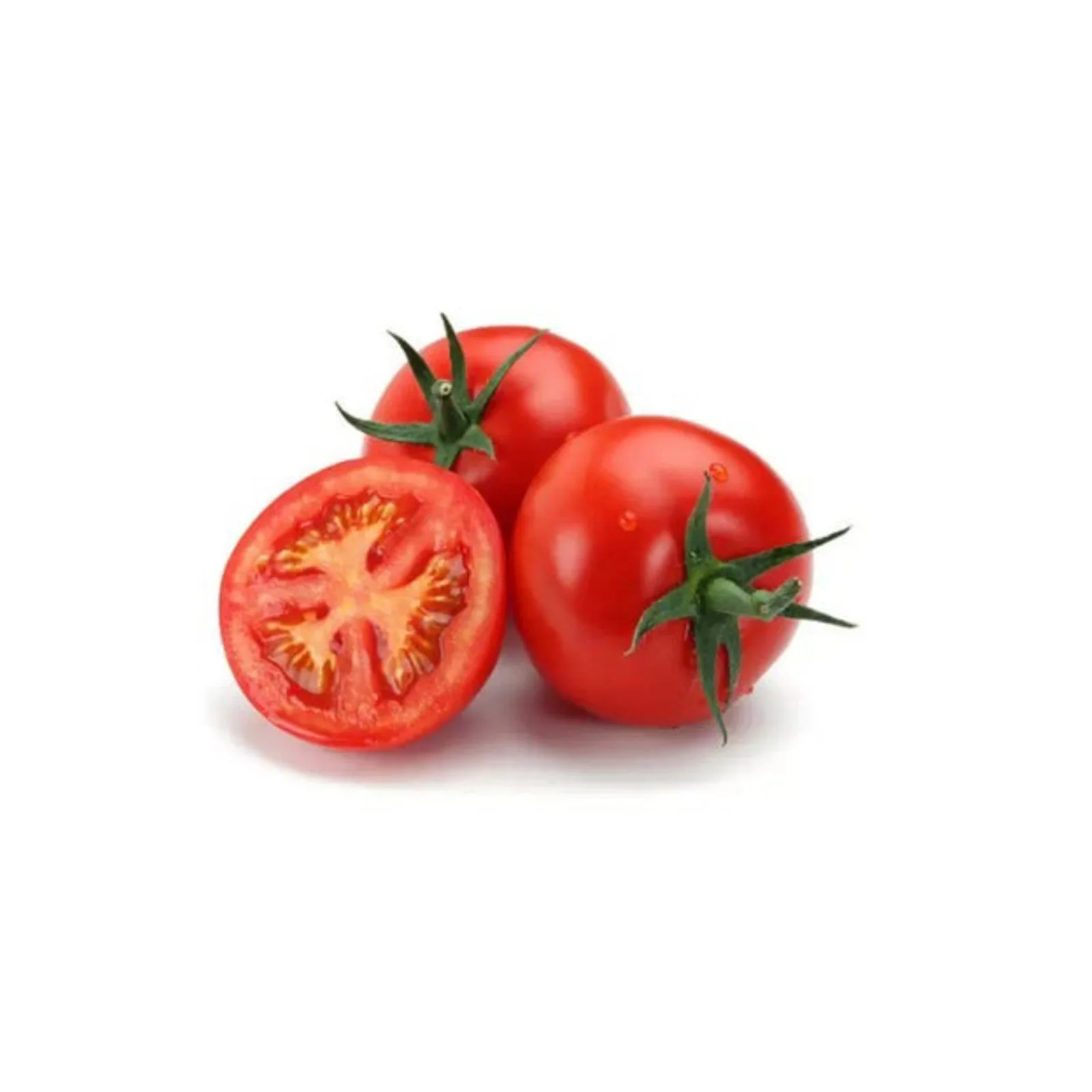 TOMATE – مطيشة