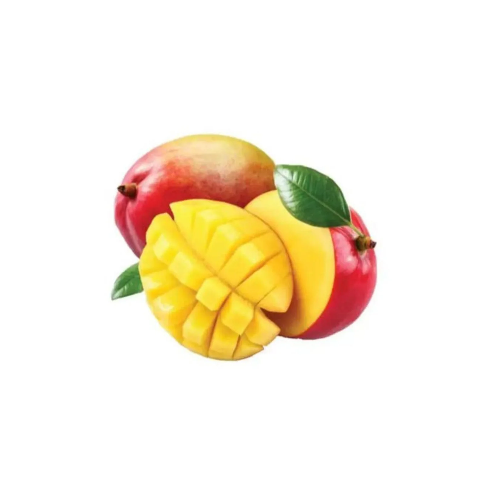 MANGUE – مانجو