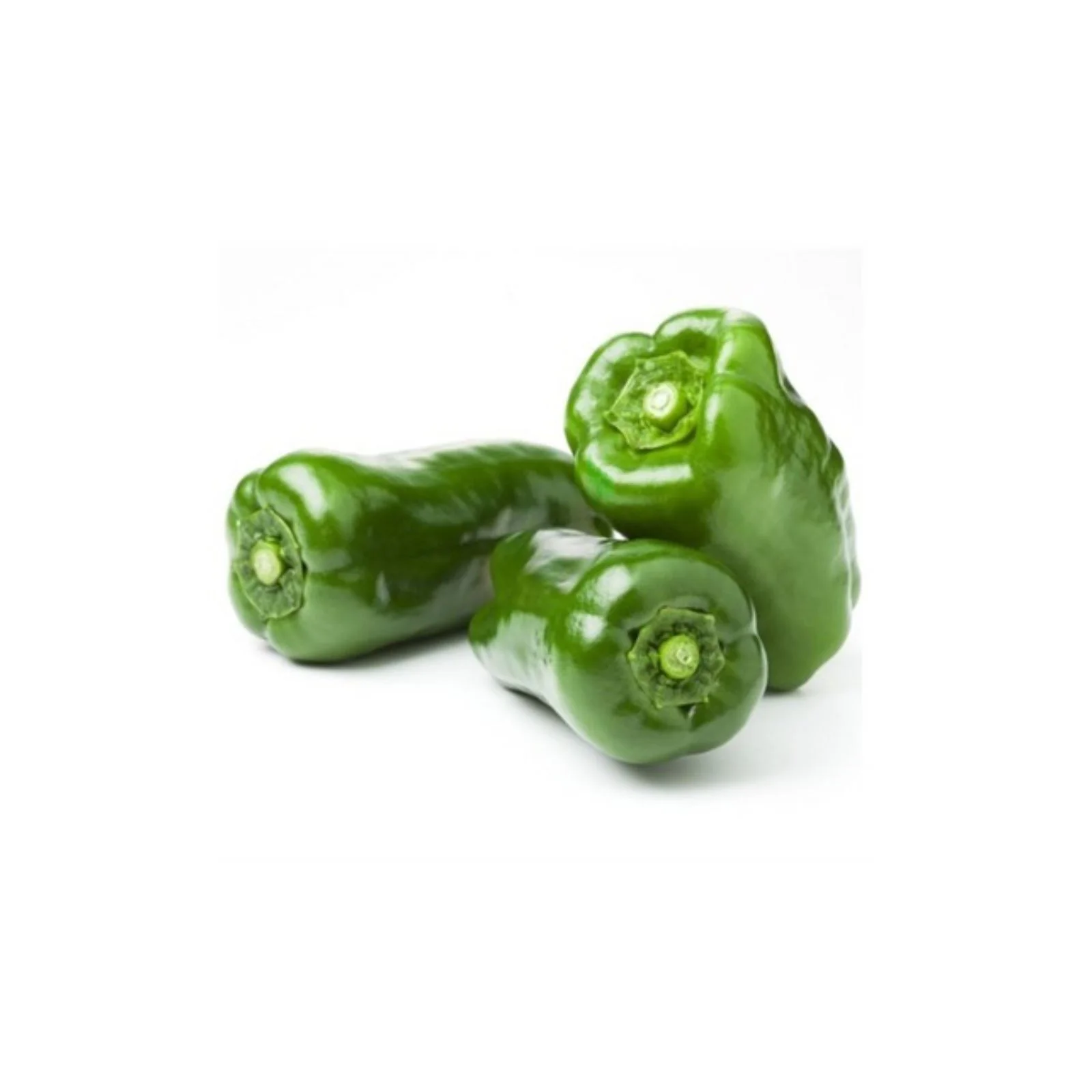 POIVRON LONG VERT – فلفل حلوة