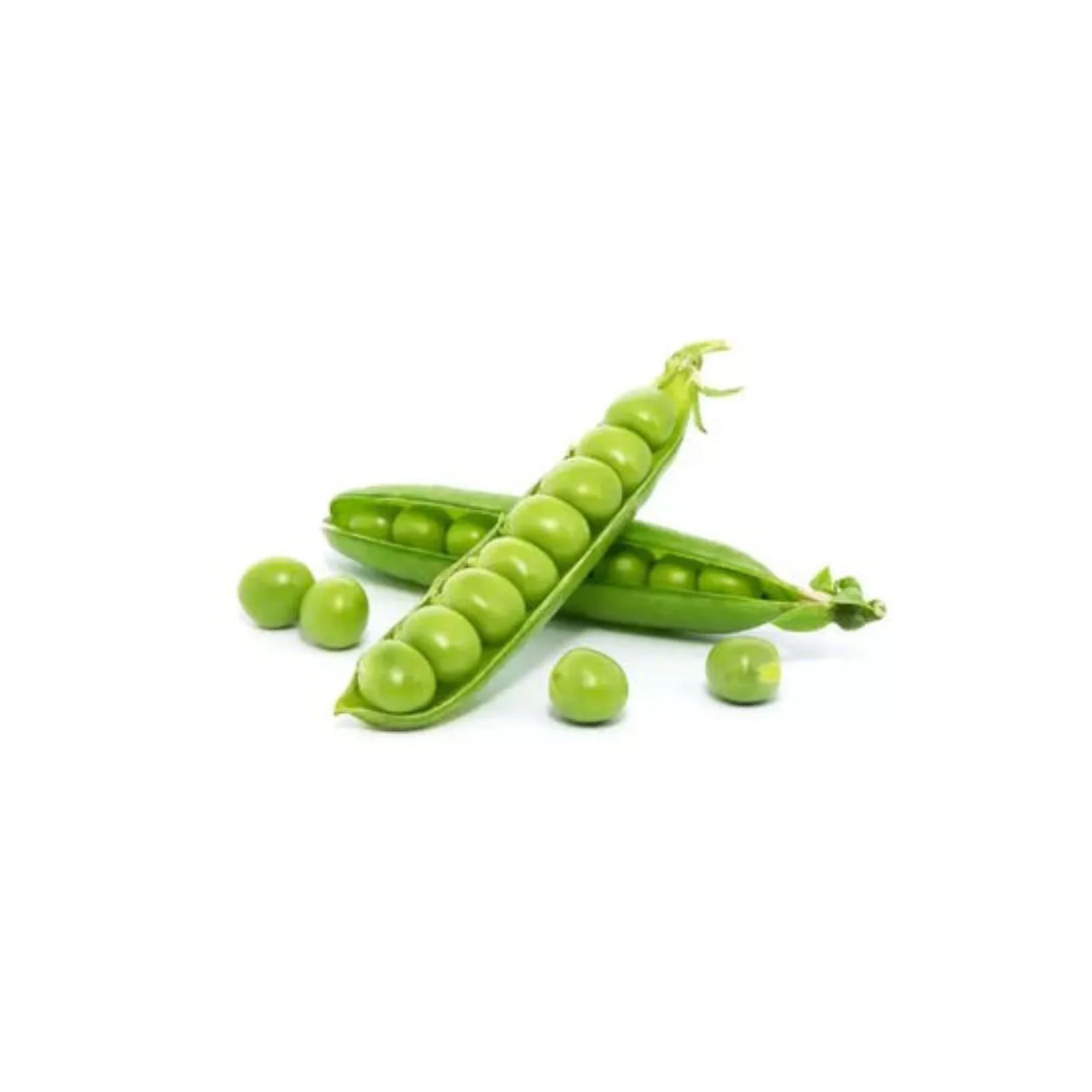 PETITS POIS – جلبانة