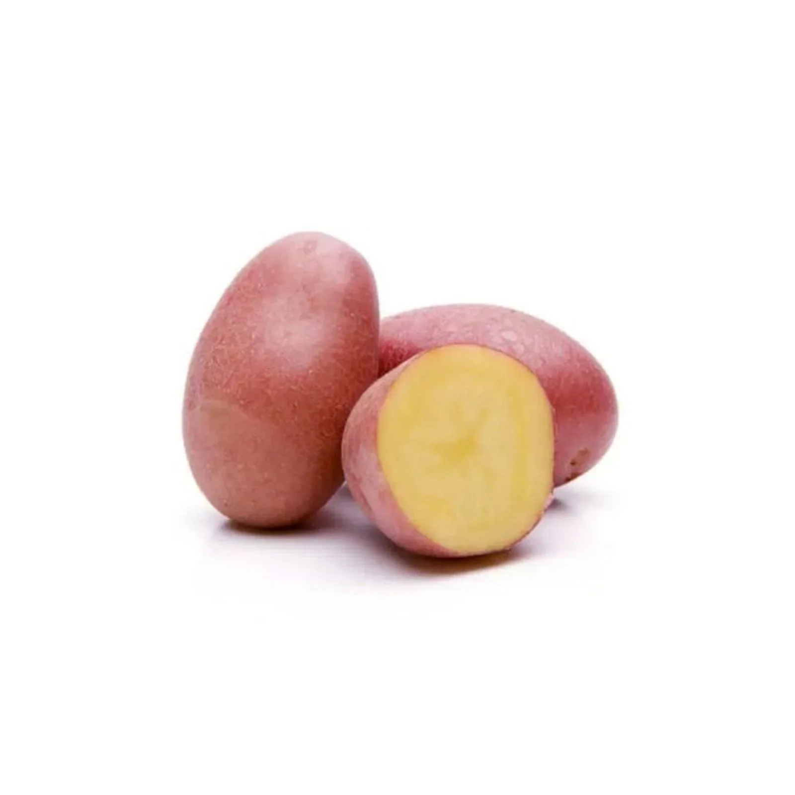 POMME DE TERRE ROUGE – البطاطس الحمراء