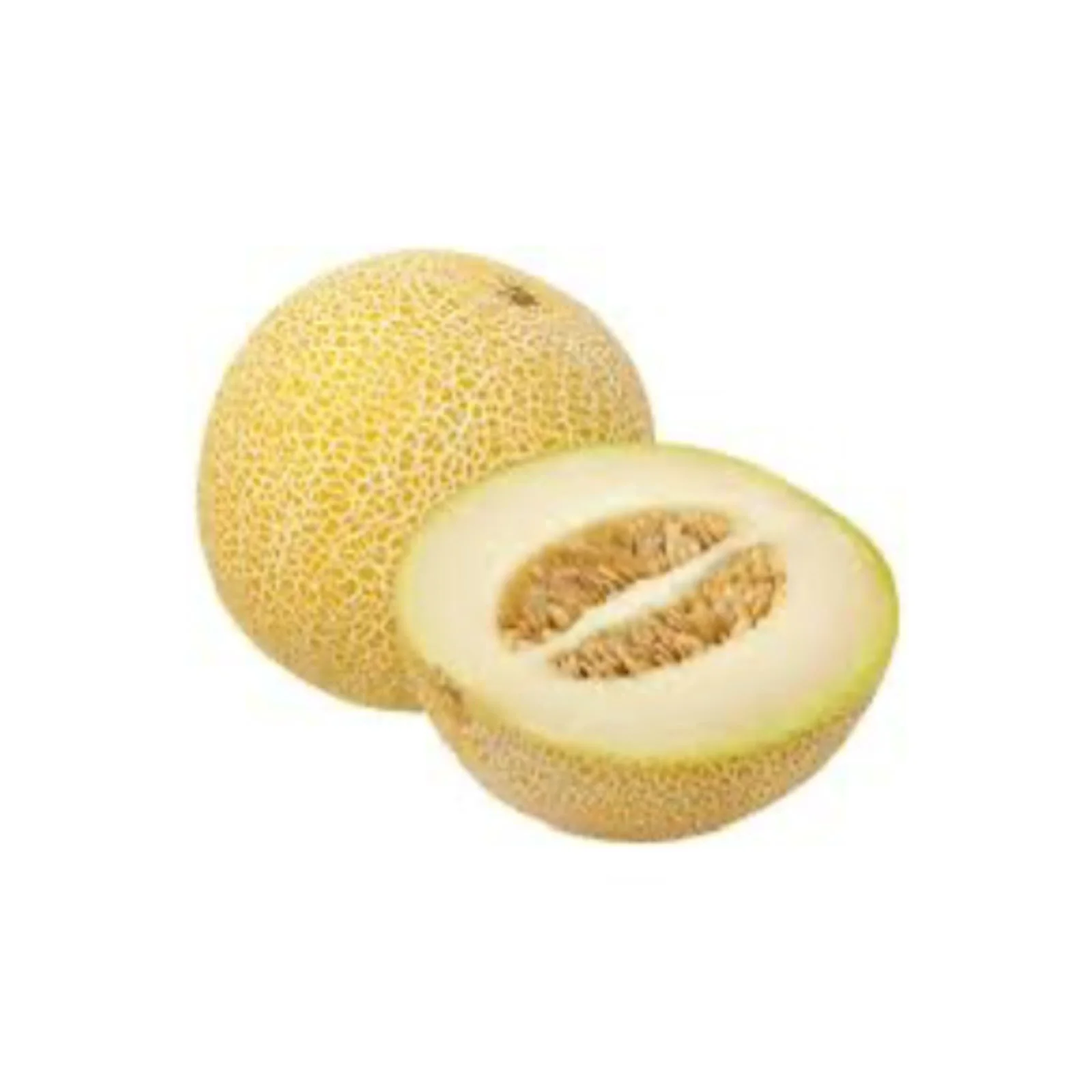 MELON GALIA – سويهلة