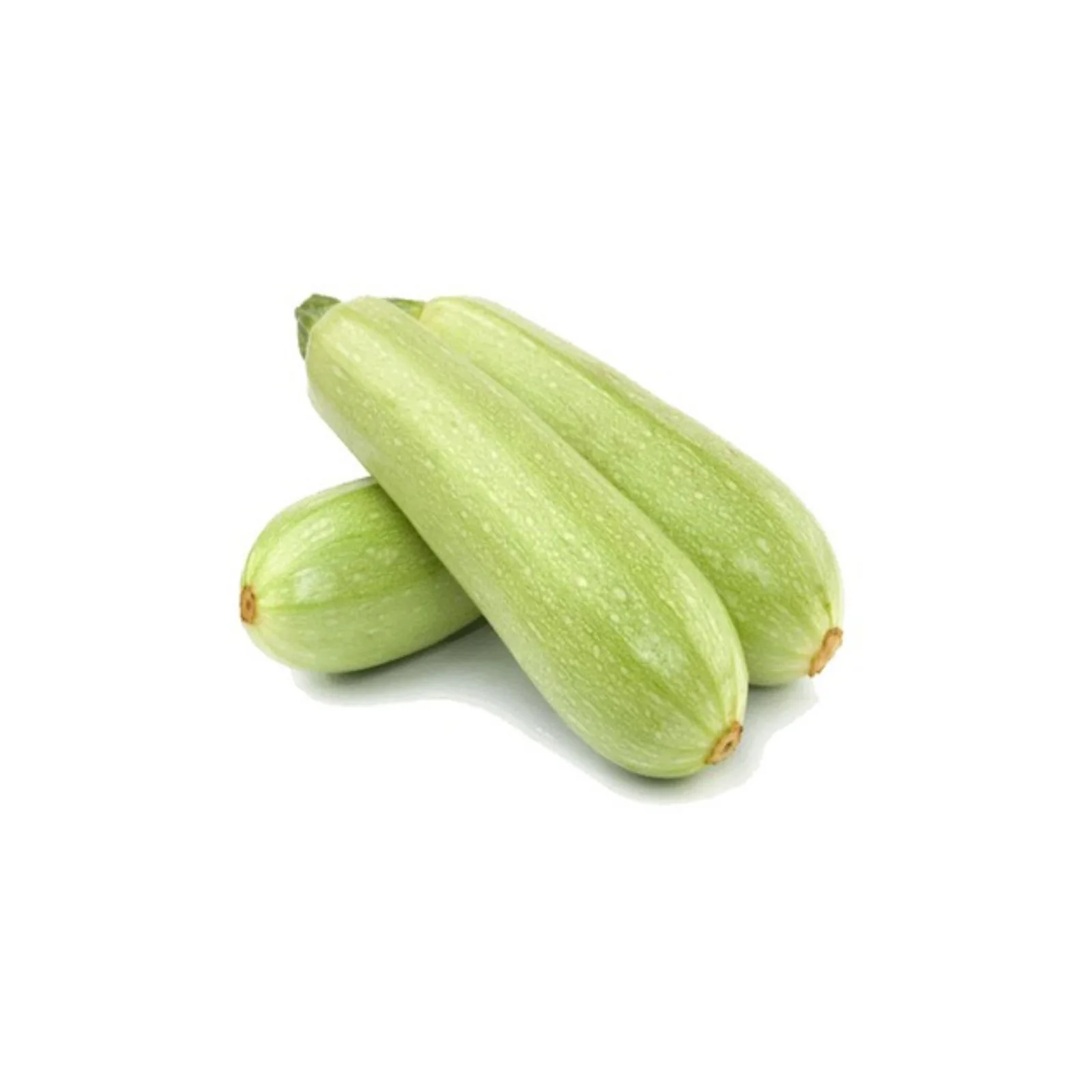 COURGETTE – كورجيت