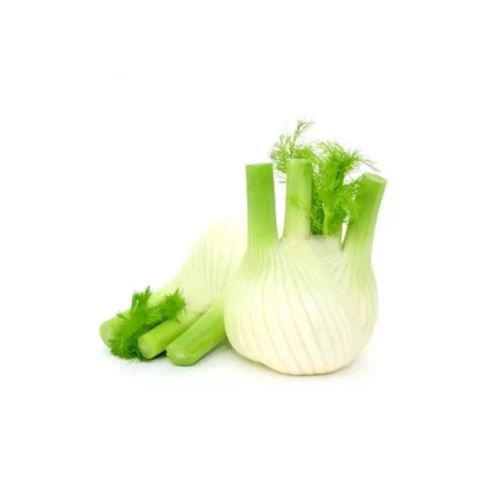 FENOUIL – بسباس