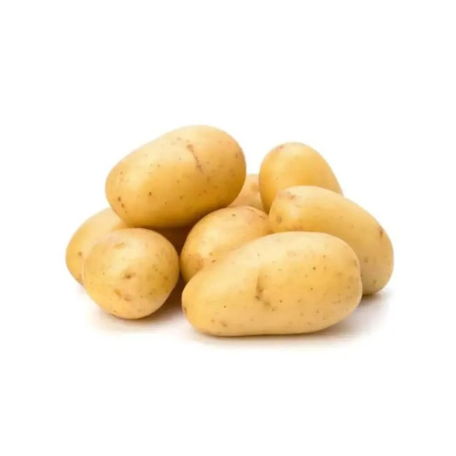 POMME DE TERRE BLANCHE – بطاطس بيضاء