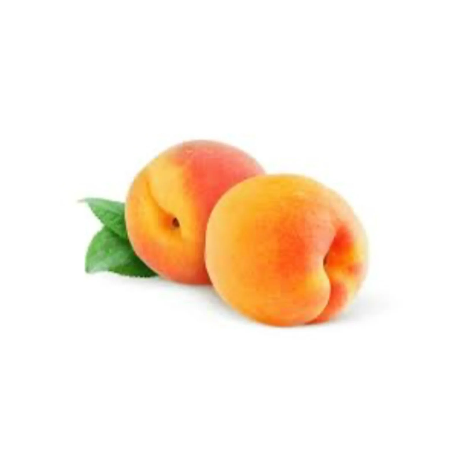 PÊCHE – الخوخ