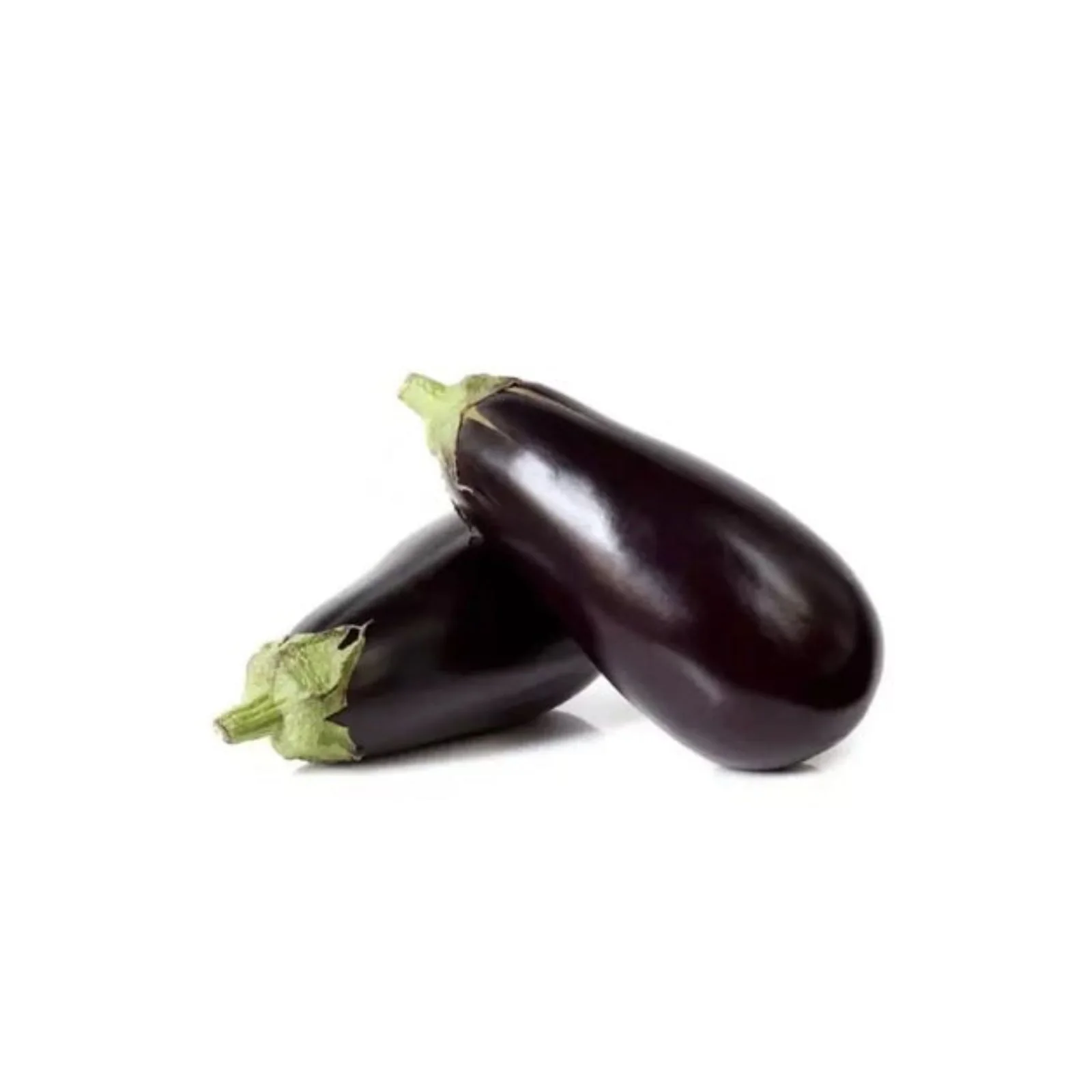AUBERGINE – دنجال
