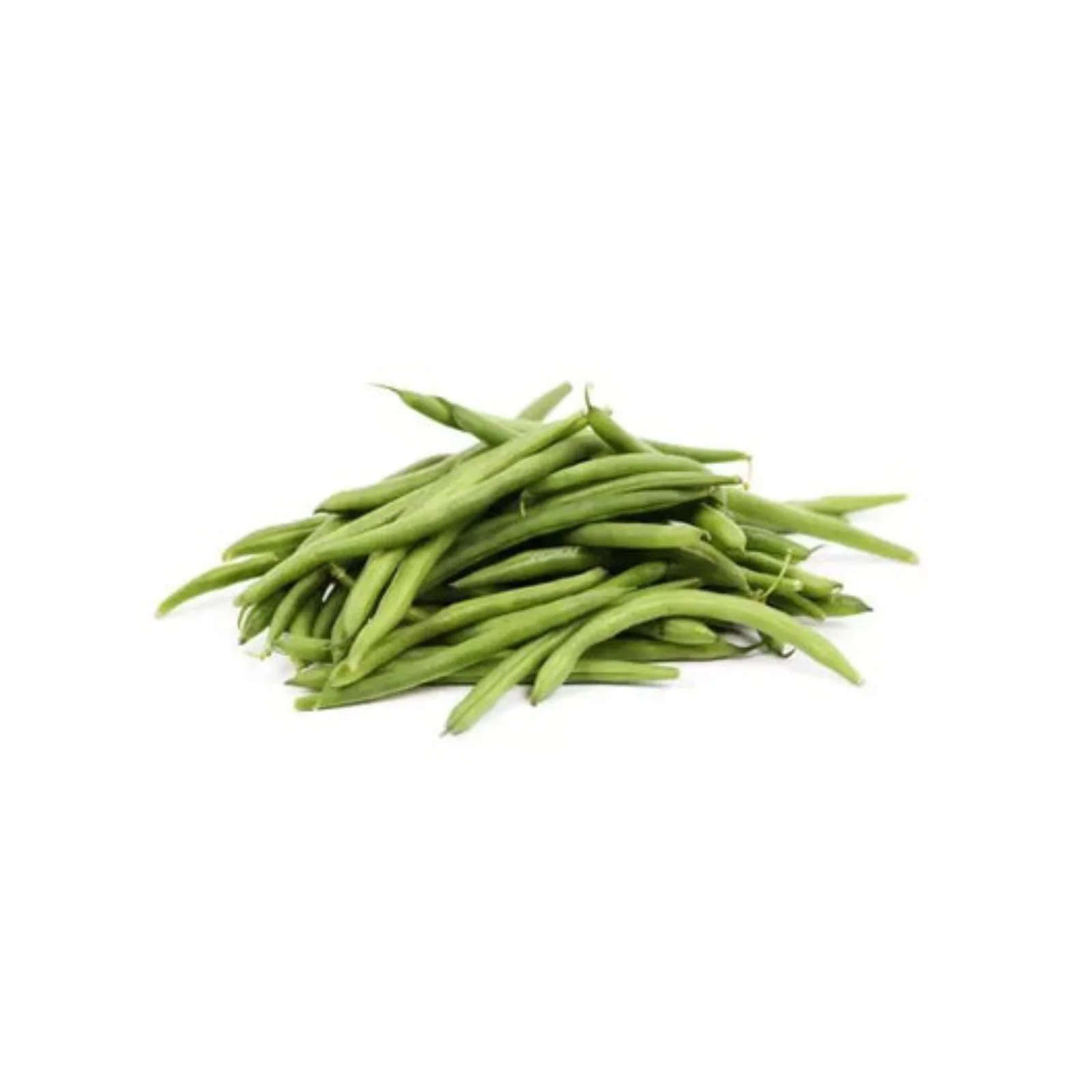 HARICOTS VERT – لوبيا خضرا