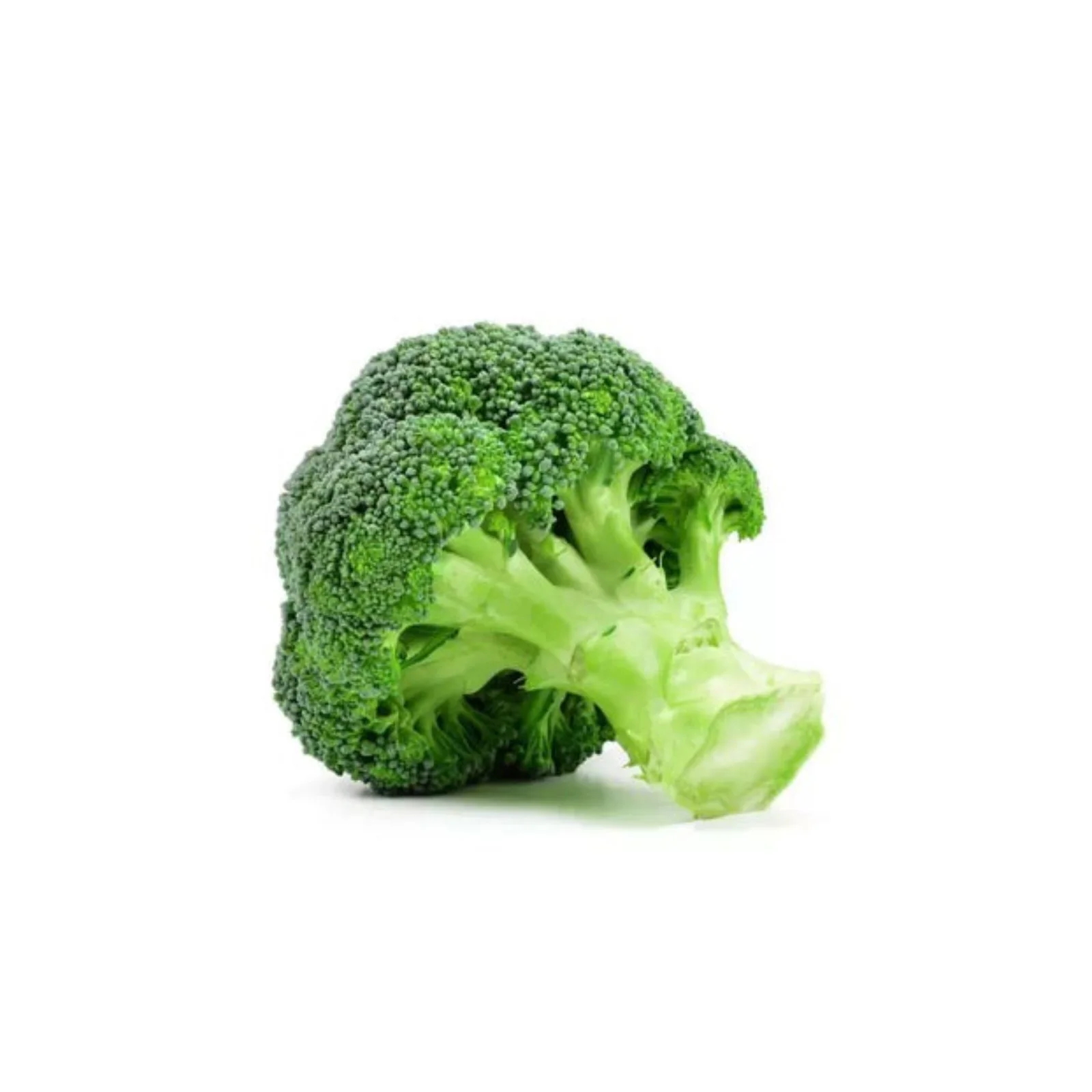 BROCCOLIS – بروكلي