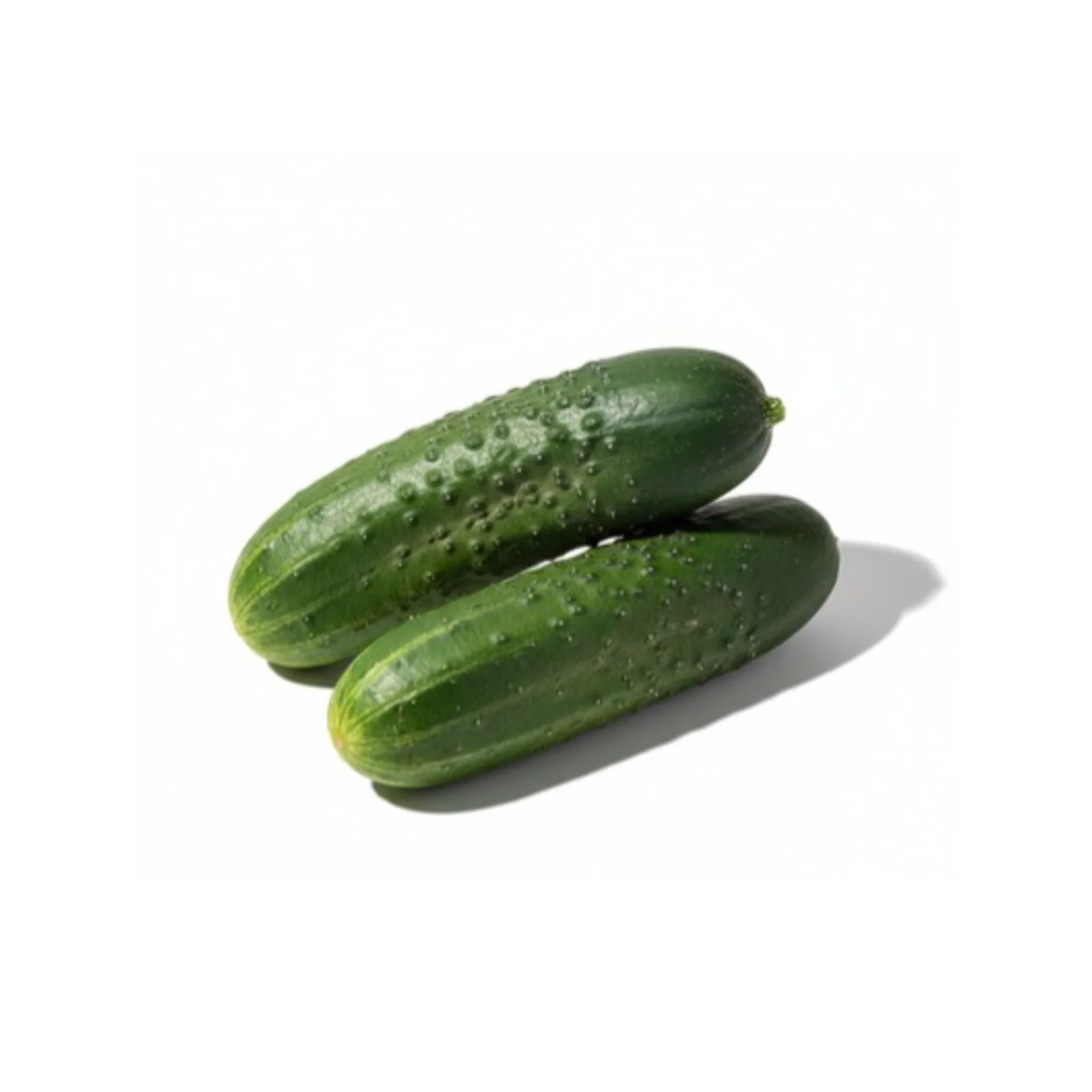 Concombre - خيار