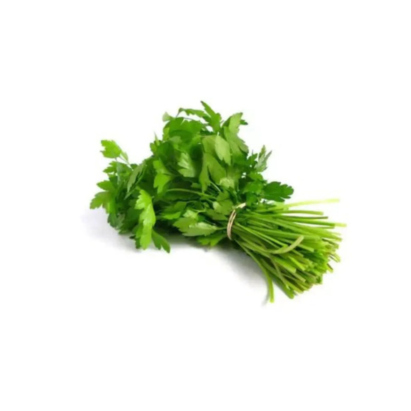 PERSIL – معدنوس