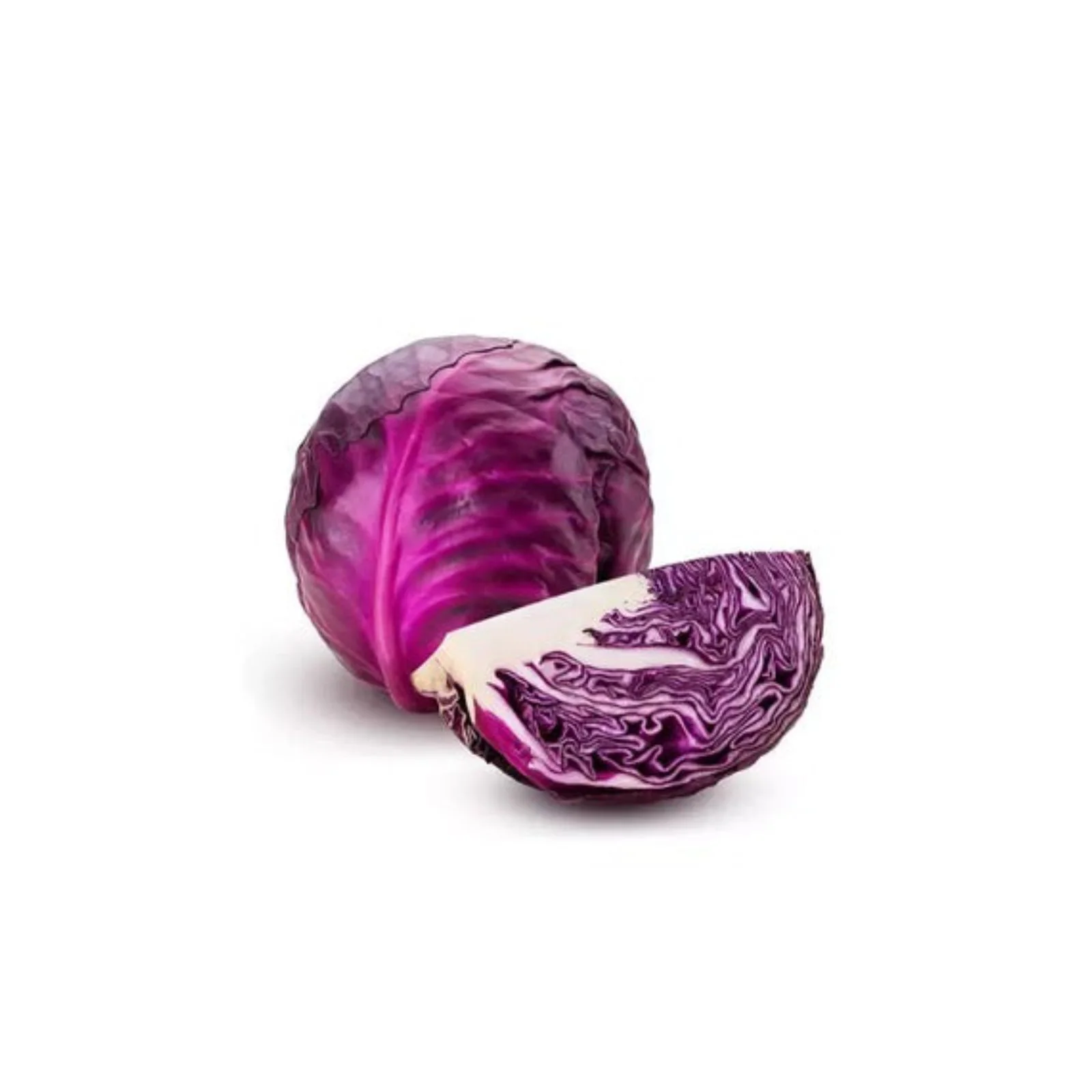 CHOUX ROUGE – ليشو أحمر