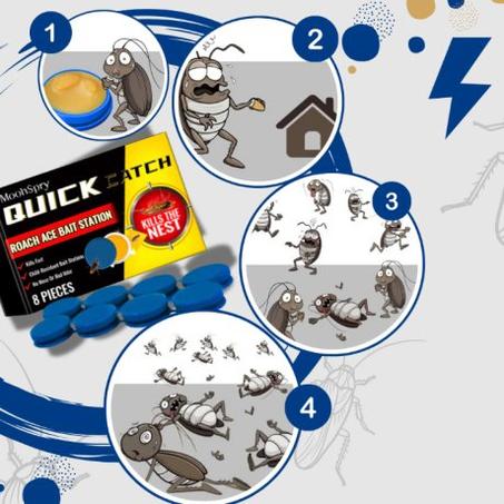 مضاد الصراصير (3729)QUICK CATCH