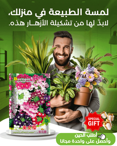 خليط من بذور الازهار WowFlow سريعة التزهير