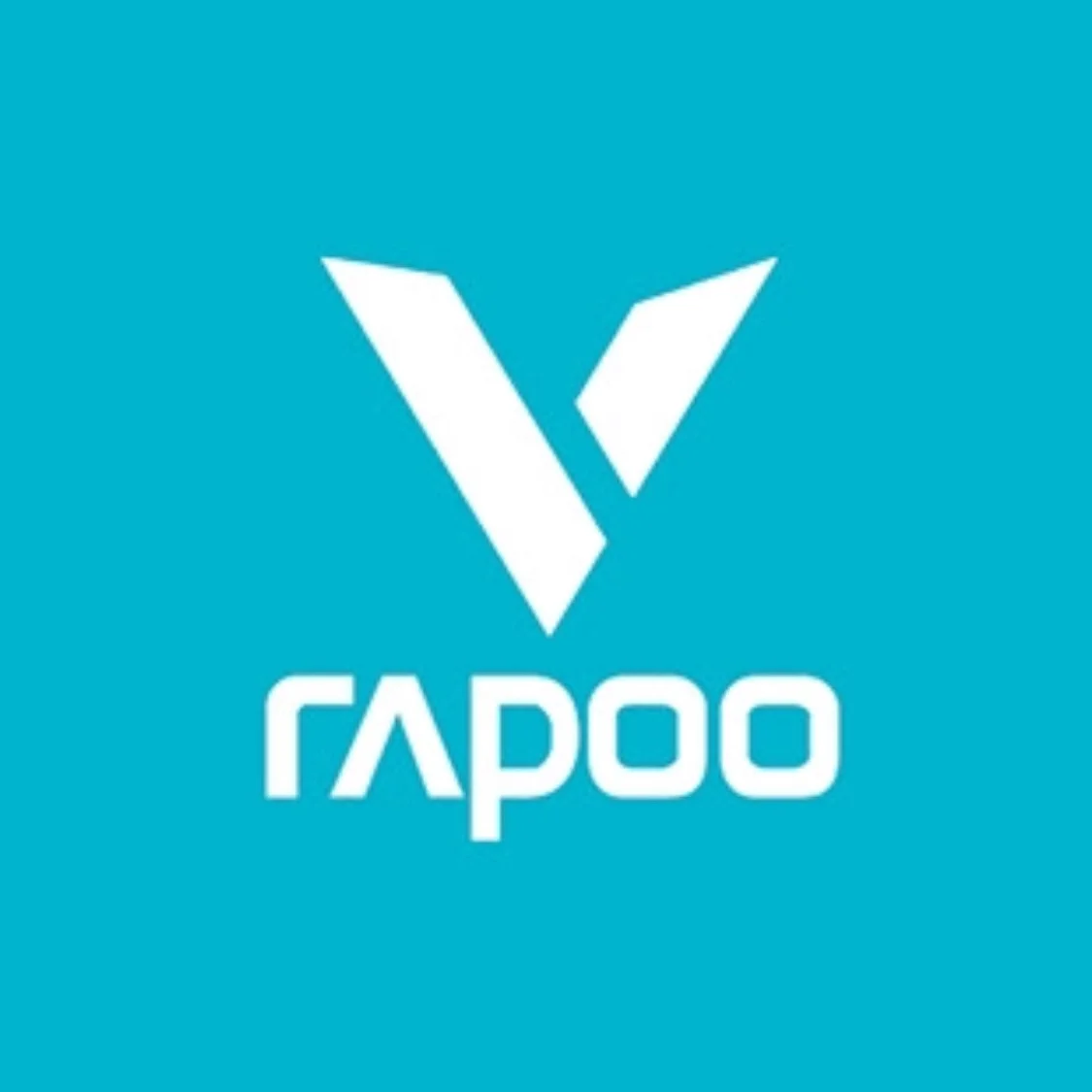 RAPOO