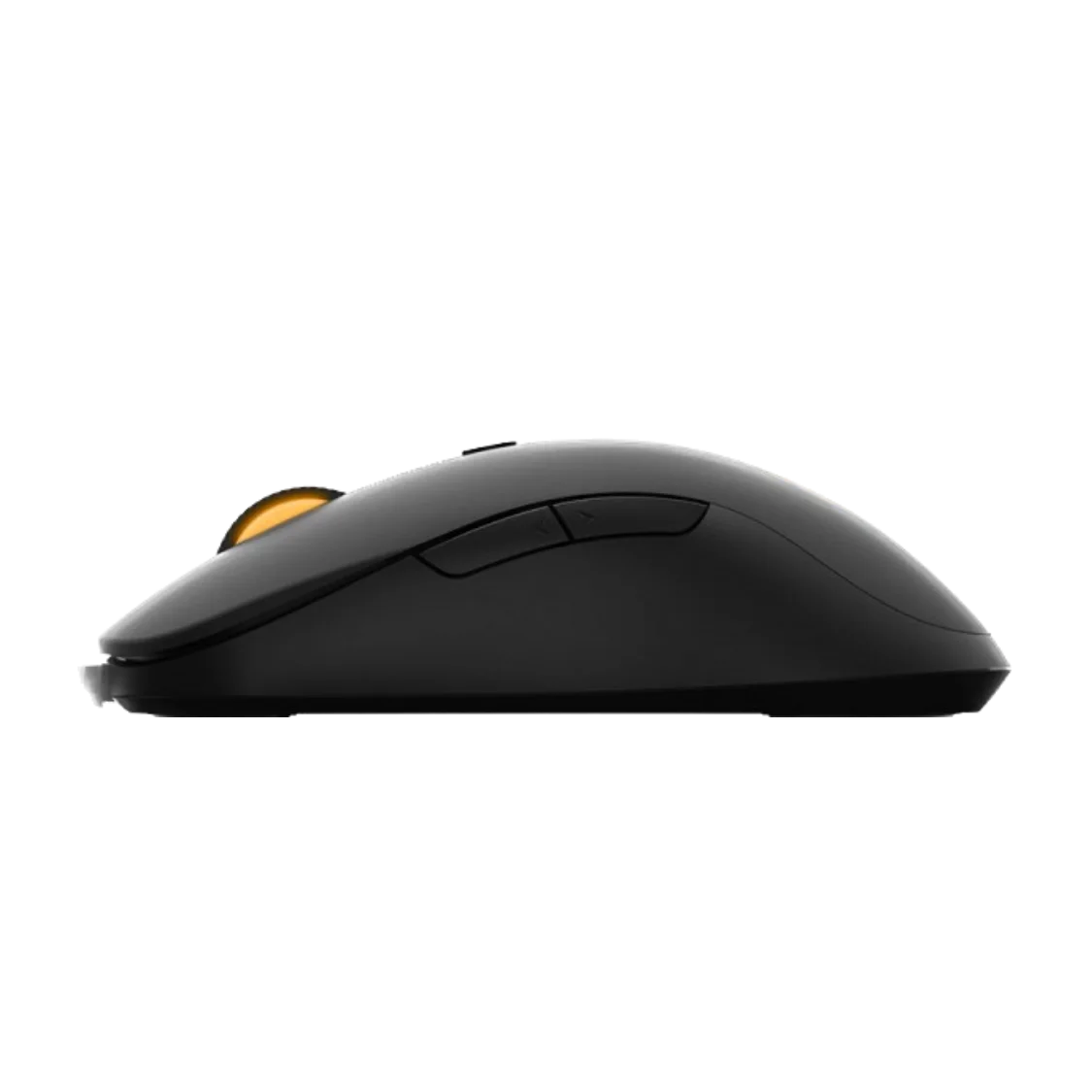 RAPOO V16RGB