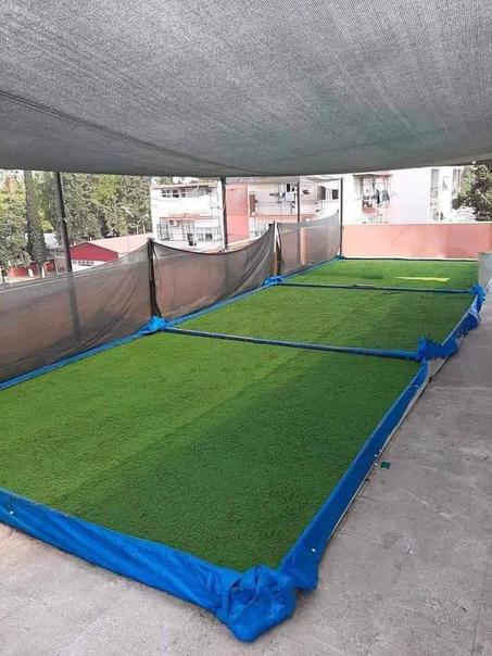 علف جديد ازولا نيوليتيكا زرع مرة وحدة وخدم بيها مدى الحياة