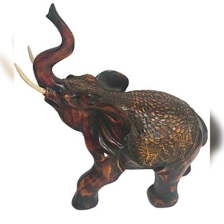 فيل اكيلريك جامبو