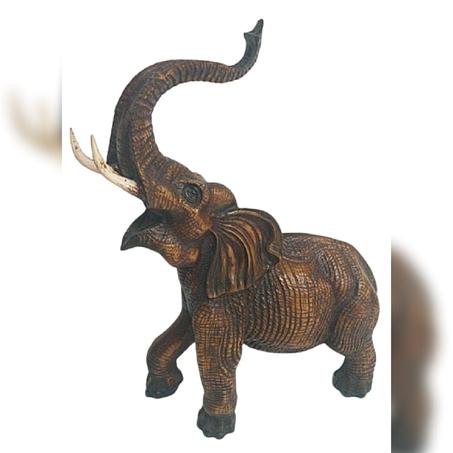 فيل اكليريك افريقي