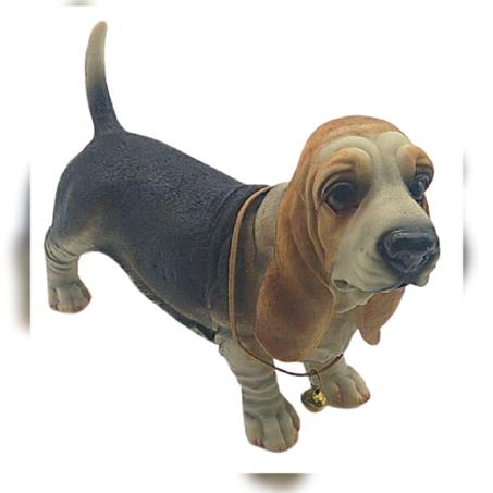 كلب اكليريك حجم وسط