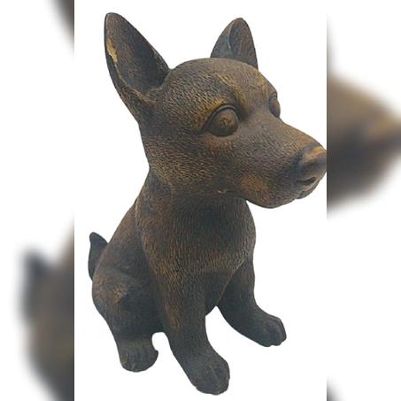 كلب اكليريك حجم صغير