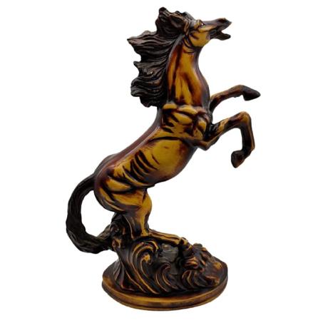 حصان اكليريك واقف