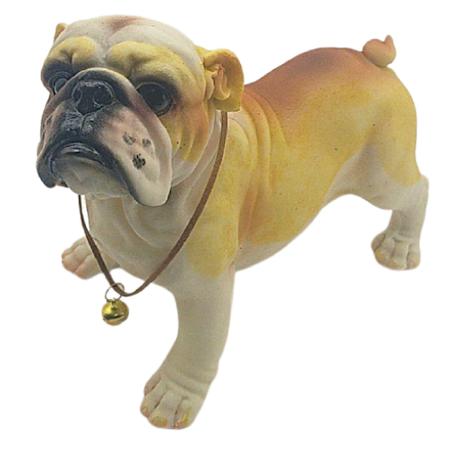 كلب اكليريك حجم وسط