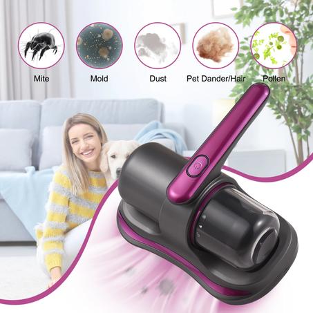 Bed vacuum
