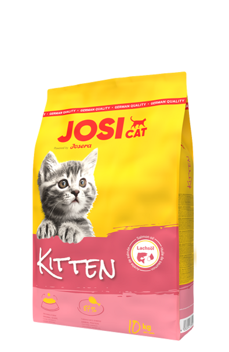 JosiCat Kitten