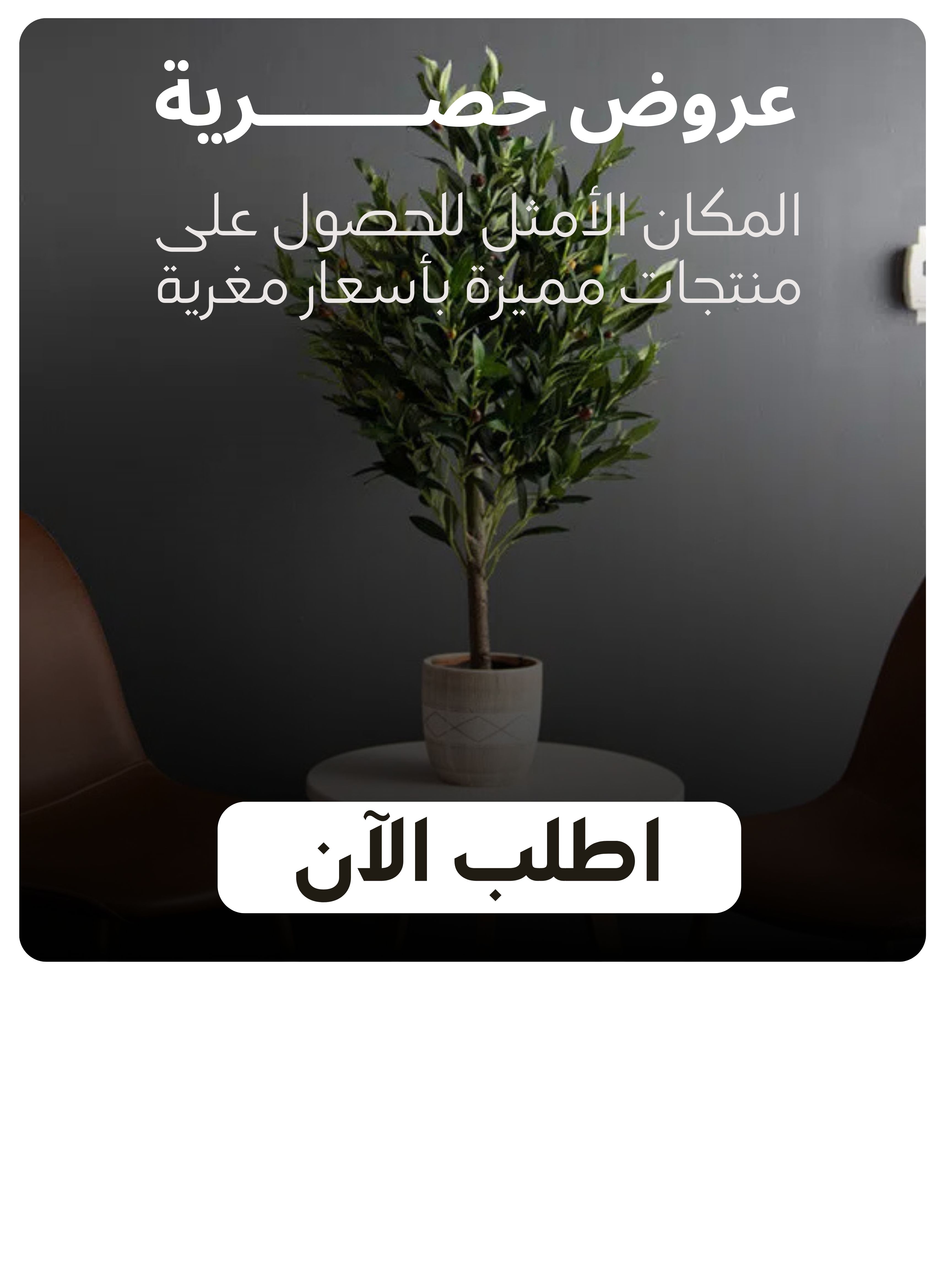 slider-image