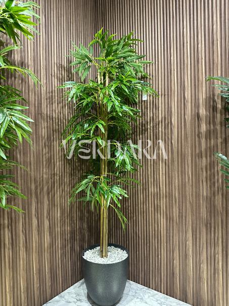 Arbre Bambou