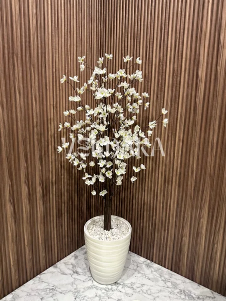 شجرة اللوزا