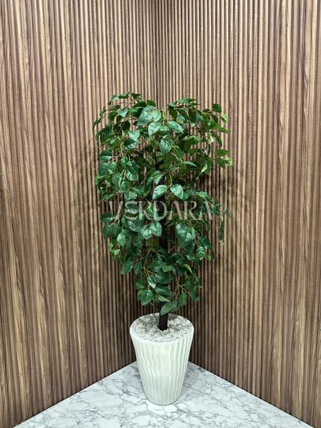 arbre ficus + vase gratuit
