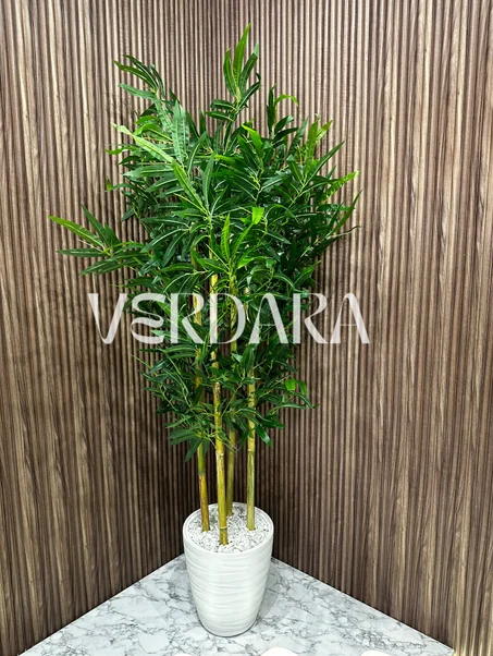 شجرة الخيزران