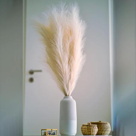 herbes de la pampa Set de 3 Pieces