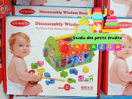 disassembly window