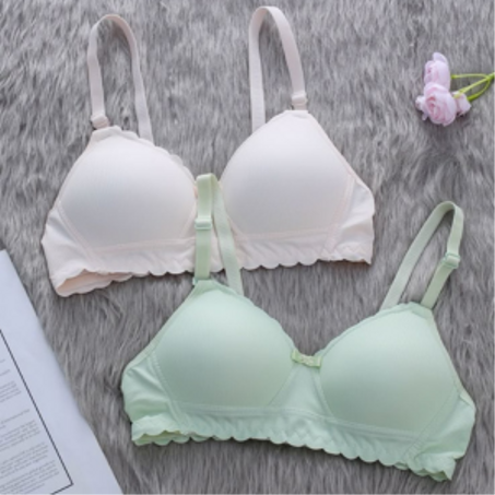 الملابس الداخلية lingerie