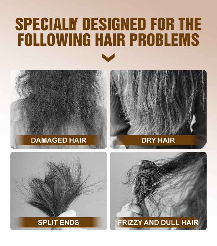 Shampoing Cheveux  Secs & Abîmés 1L