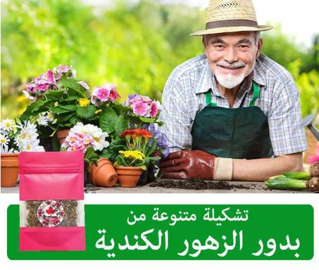 خليط من بذور الزهور الأمريكية و الكندية