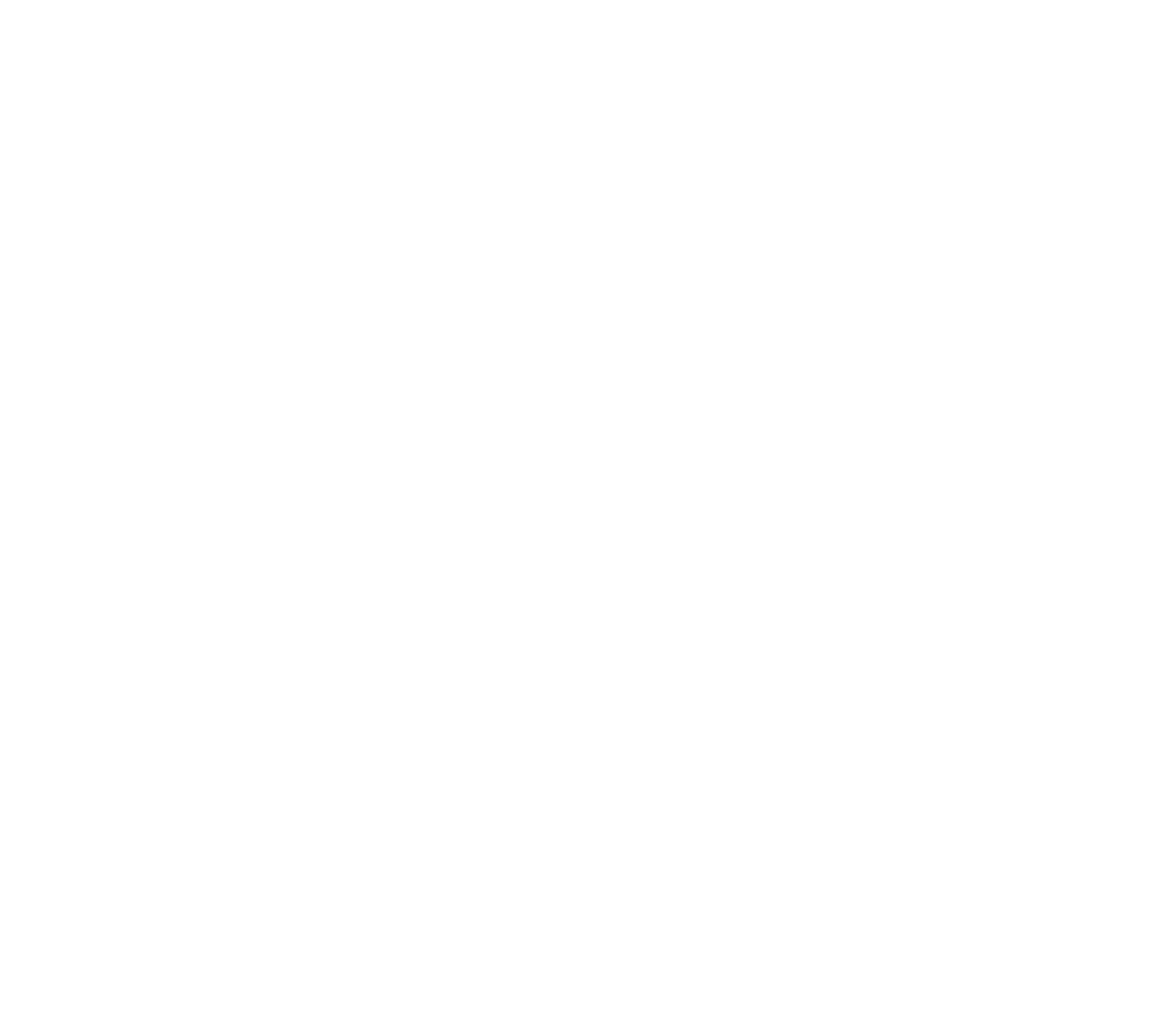 dzvision4d