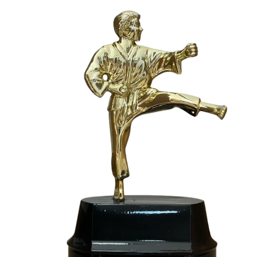 Trophée de karaté