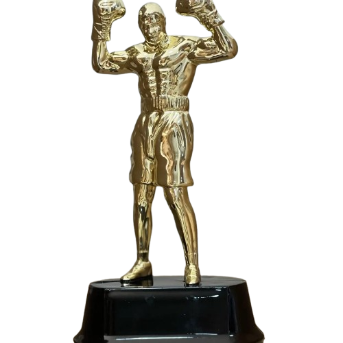 Trophée de boxe